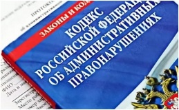 ответственность за несоблюдение требований в области охраны окружающей среды при обращении с отходами производства и потребления по статье 8.2 КоАП РФ - фото - 1