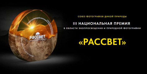 iii Национальная премия в области экопросвещения и природной фотографии «РАССВЕТ» - фото - 1