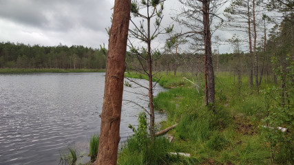 11 января – День заповедников и национальных парков: Смоленщина бережет природное наследие - фото - 5