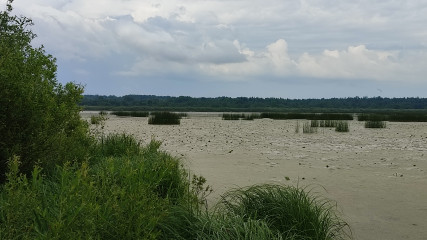 границы охранных зон особо охраняемых природных территорий «Озеро Купринское» и «Озеро Семлевское (Стоячее)» внесены в ЕГРН - фото - 2