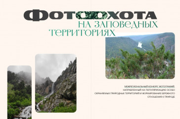 межрегиональный конкурс фотографий «Фотоохота на заповедных территориях» - фото - 1