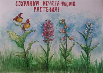 итоги XII областного конкурса исследовательских работ «Экология родного края» - фото - 3