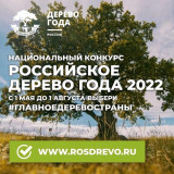 голосуем за «Клен графа Панина» – номинанта конкурса «Российское дерево года – 2022» от Смоленской области - фото - 4